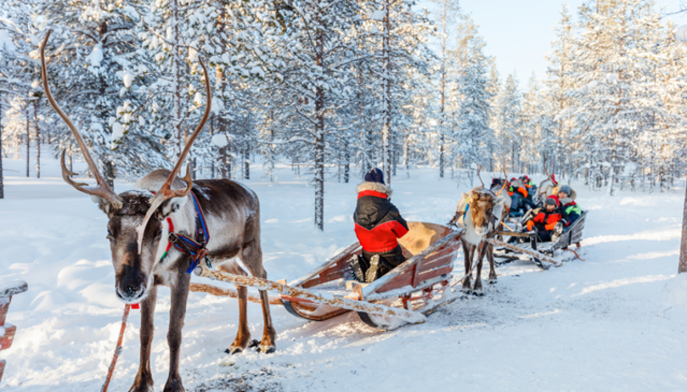 Voyage en Laponie : entre neige, rennes et magie de Noël